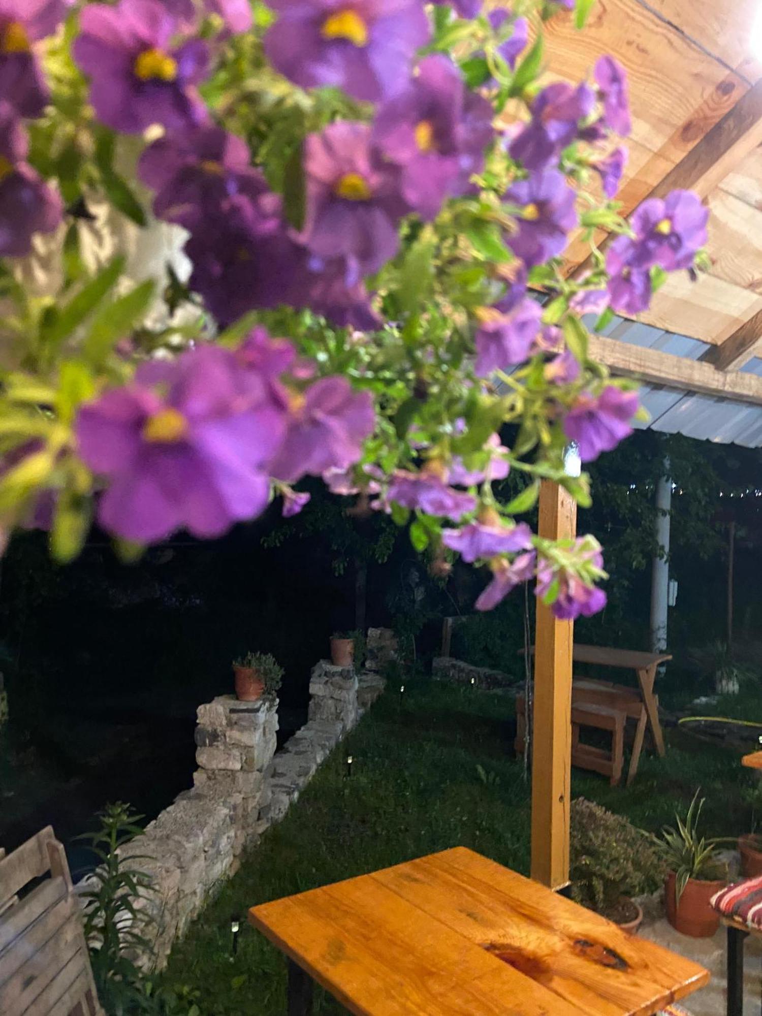 טת Guesthouse Kujtimi מראה חיצוני תמונה